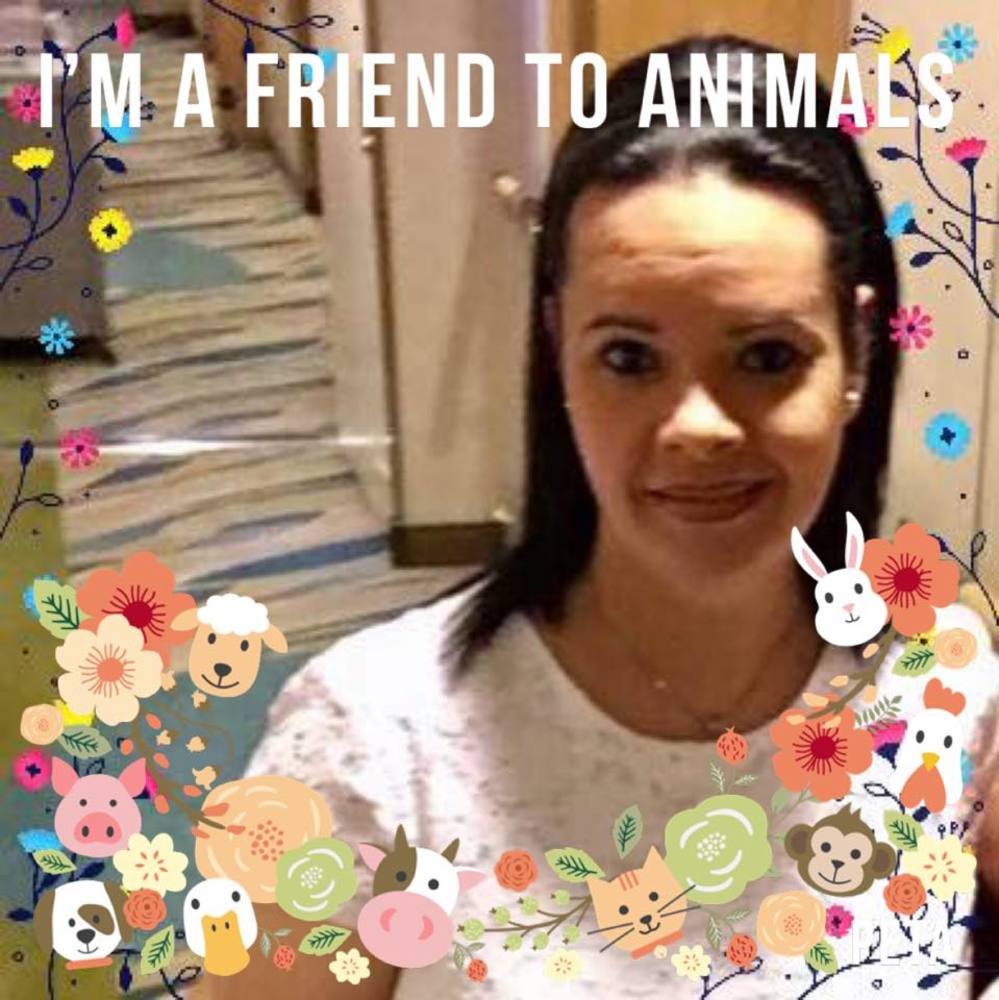 Meet your Posher, Lisy